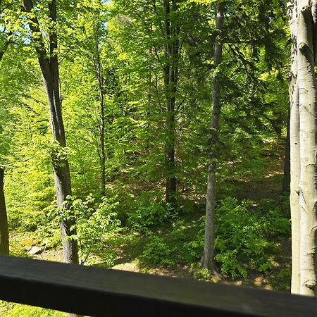 Apartament Z Pieknym Widokiem Na Las Sklářská Poruba Exteriér fotografie