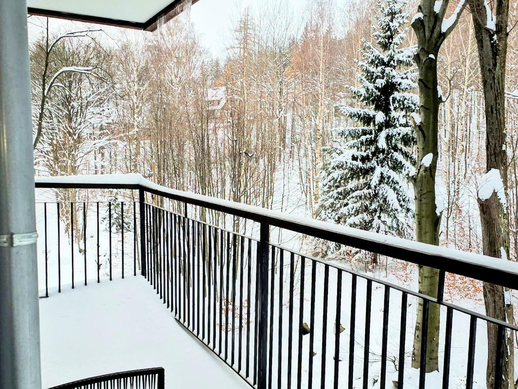 Apartament Z Pieknym Widokiem Na Las Sklářská Poruba Exteriér fotografie
