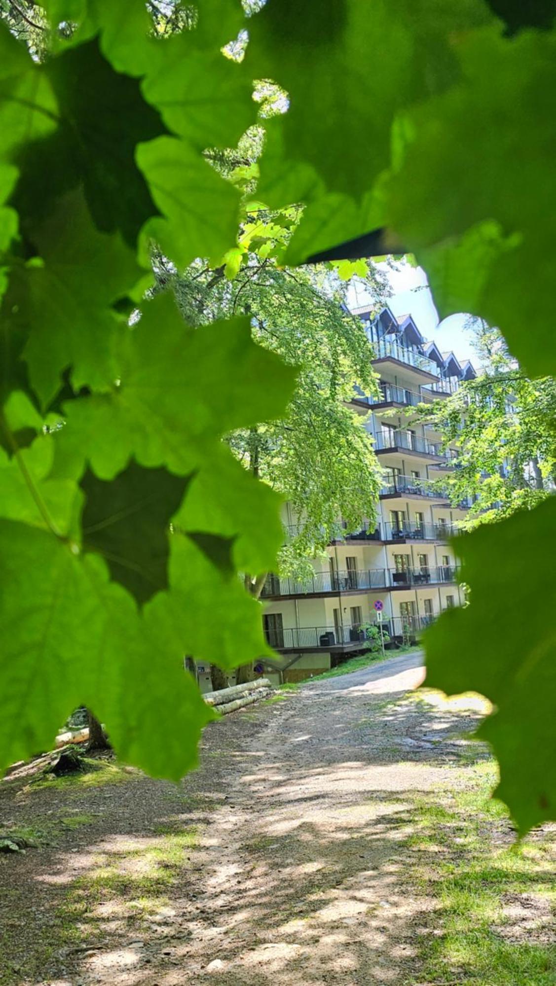 Apartament Z Pieknym Widokiem Na Las Sklářská Poruba Exteriér fotografie