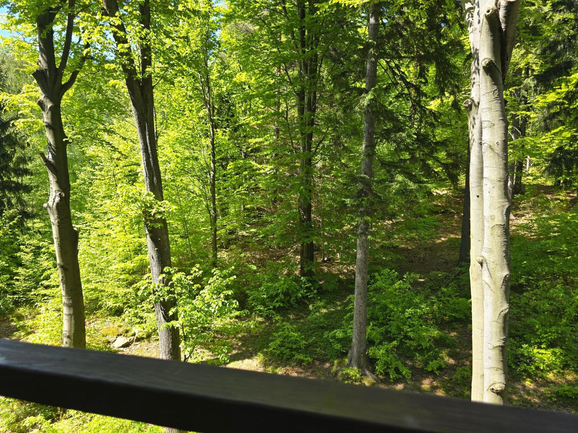 Apartament Z Pieknym Widokiem Na Las Sklářská Poruba Exteriér fotografie